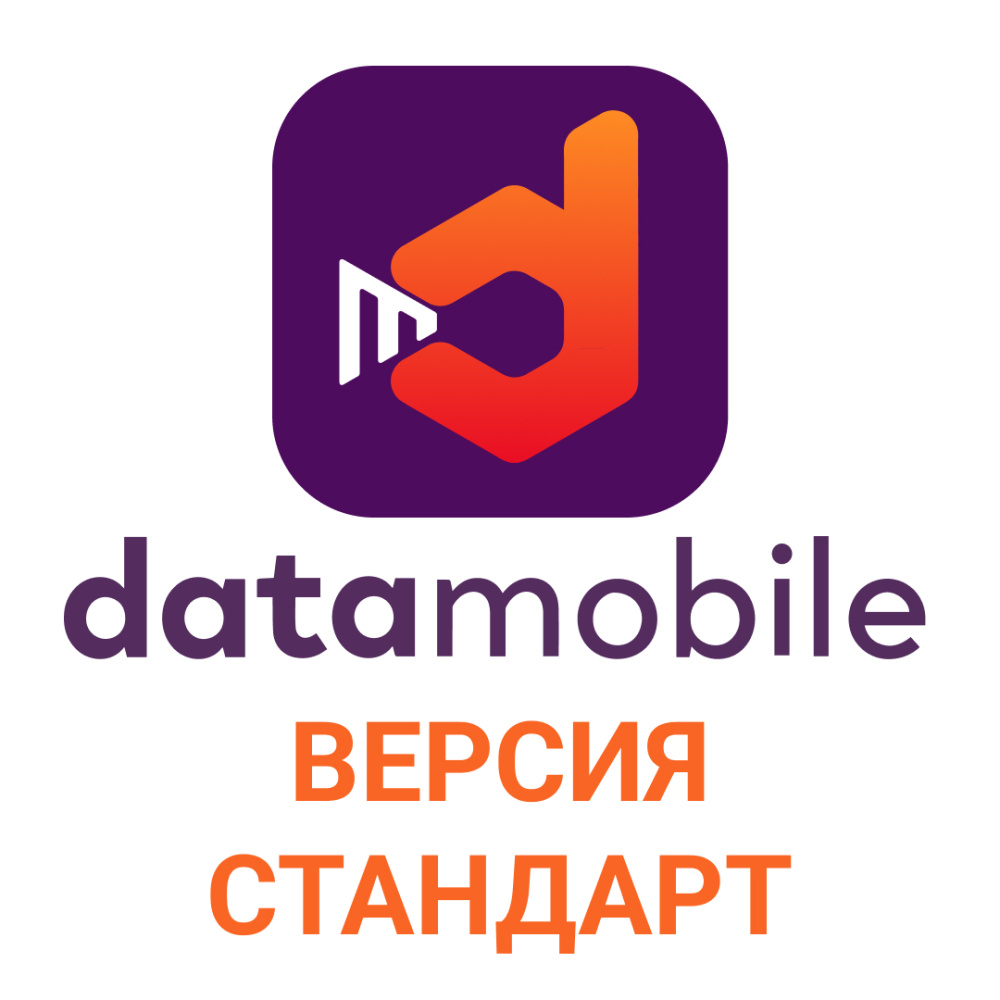 картинка DataMobile, версия Стандарт - подписка на 1 месяц от Ритейл Сервис 24